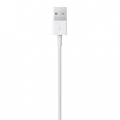 Кабель Apple Lightning to USB Cable (1 м) (MD818/MQUE2/MXLY2) (No box)