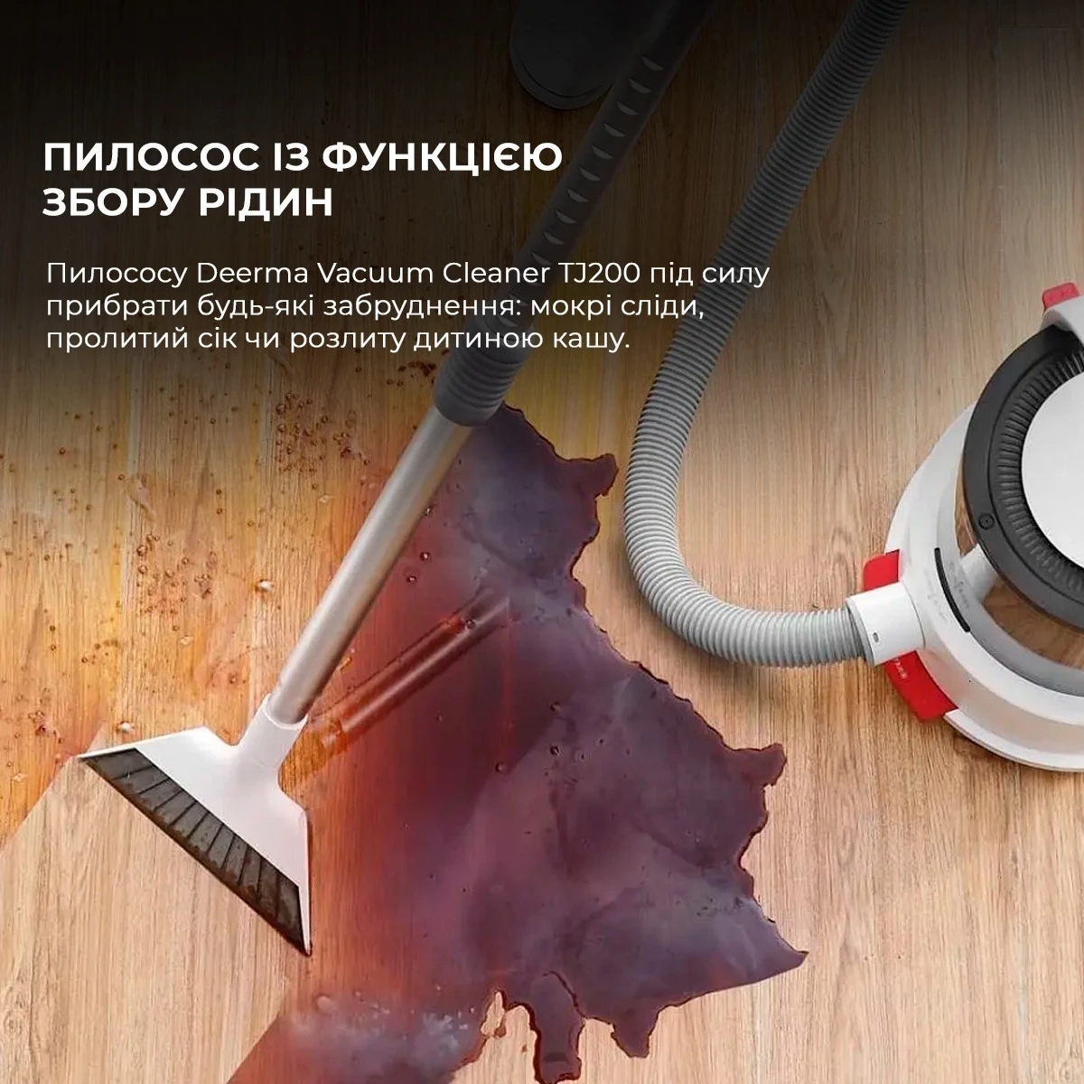 Пилосос Deerma Vacuum Cleaner TJ200 (Wet and Dry)