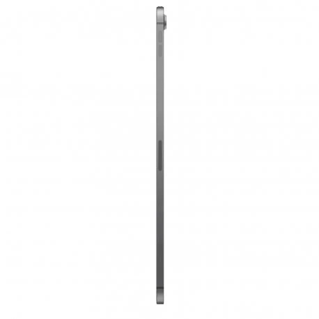 Apple iPad Air (M3) 2025 11" 1TB Wi-Fi+4G Space Gray (MCG84)